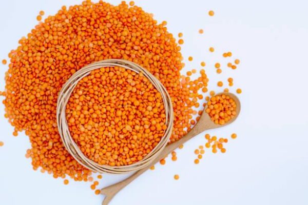 WhatsApp Image 2026-02-15 at 3.28.18 PM Premium Lentils, Pulses & Beans – Wholesale & Export Supply