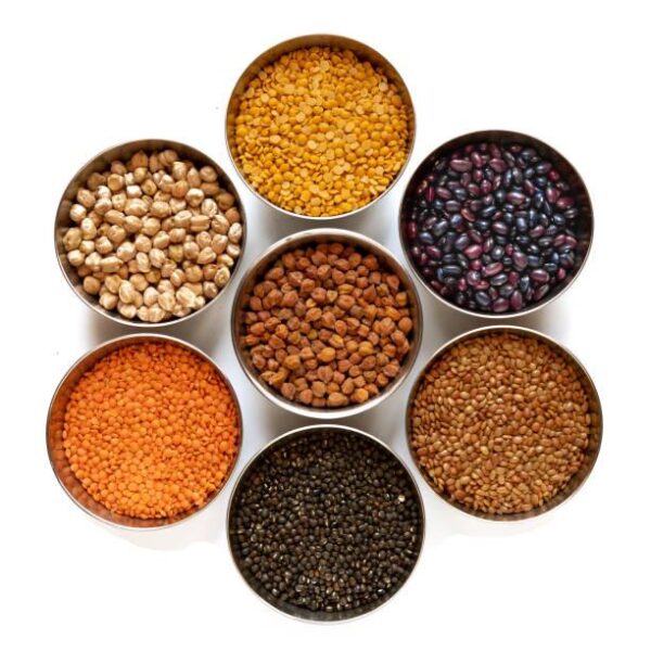 WhatsApp Image 2026-02-15 at 3.28.19 PM Premium Lentils, Pulses & Beans – Wholesale & Export Supply