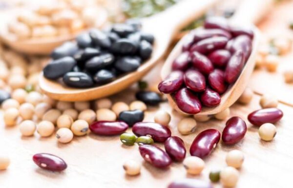 WhatsApp Image 2026-02-15 at 3.28.21 PM Premium Lentils, Pulses & Beans – Wholesale & Export Supply