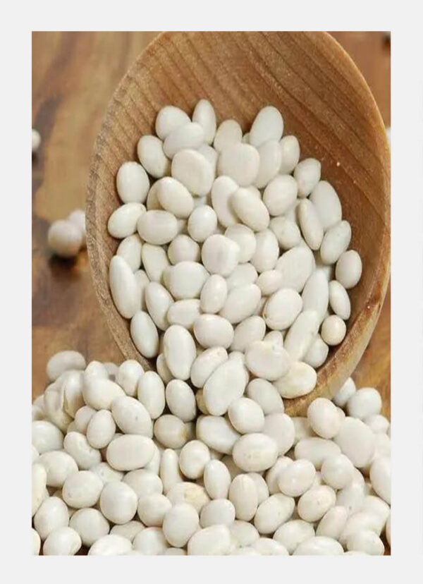 Premium White Beans – High-Quality White Kidney Beans for Wholesale & Export