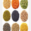 i9h Premium Lentils, Pulses & Beans – Wholesale & Export Supply