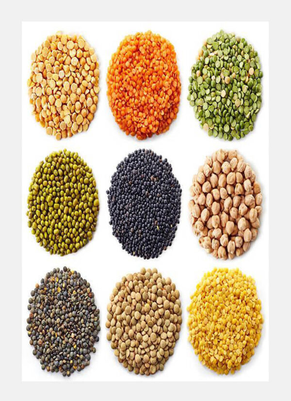 i9h Premium Lentils, Pulses & Beans – Wholesale & Export Supply