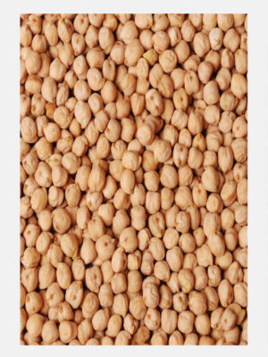 nt Premium Chickpeas (Kabuli & Desi) – High-Quality Chana for Wholesale & Export