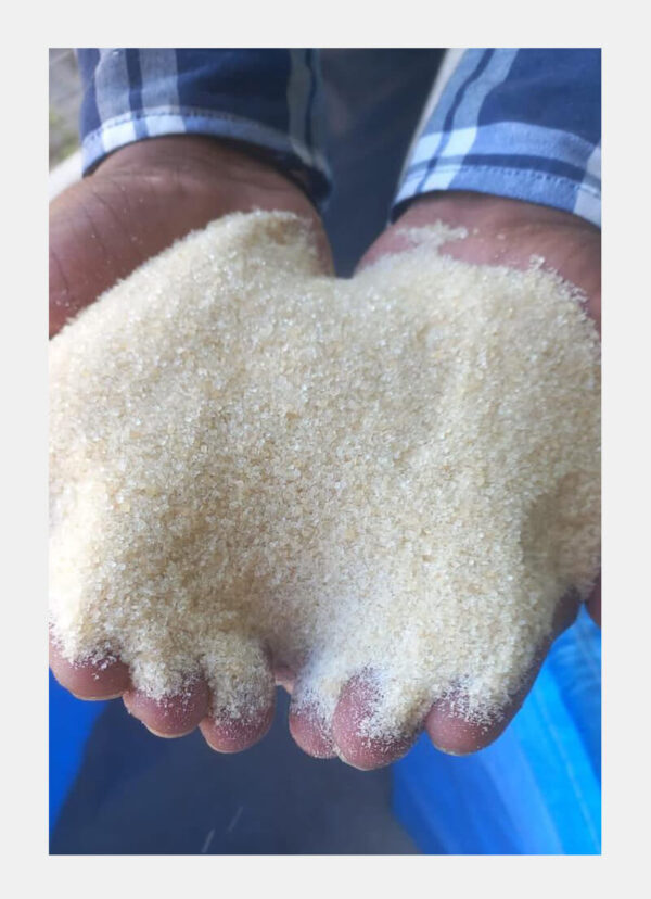 sdf476 Mecca Brown Sugar