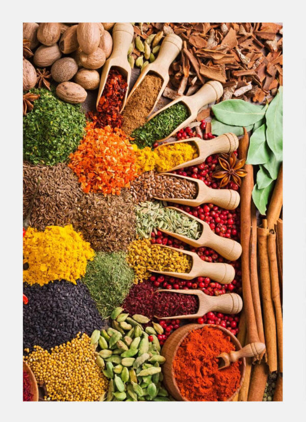 sf Premium Spices – High-Quality Whole & Ground Spices for Wholesale & Export